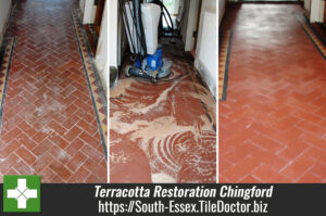 Terracotta Restoration Chingford